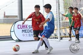 四、社会影响与公共治理（四、公共治理与社会影响）